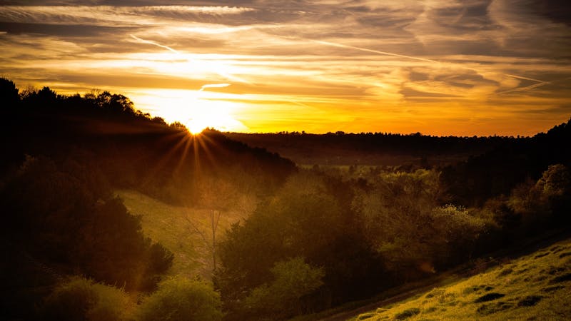 The Marvel of Creation The Marvel of Creation