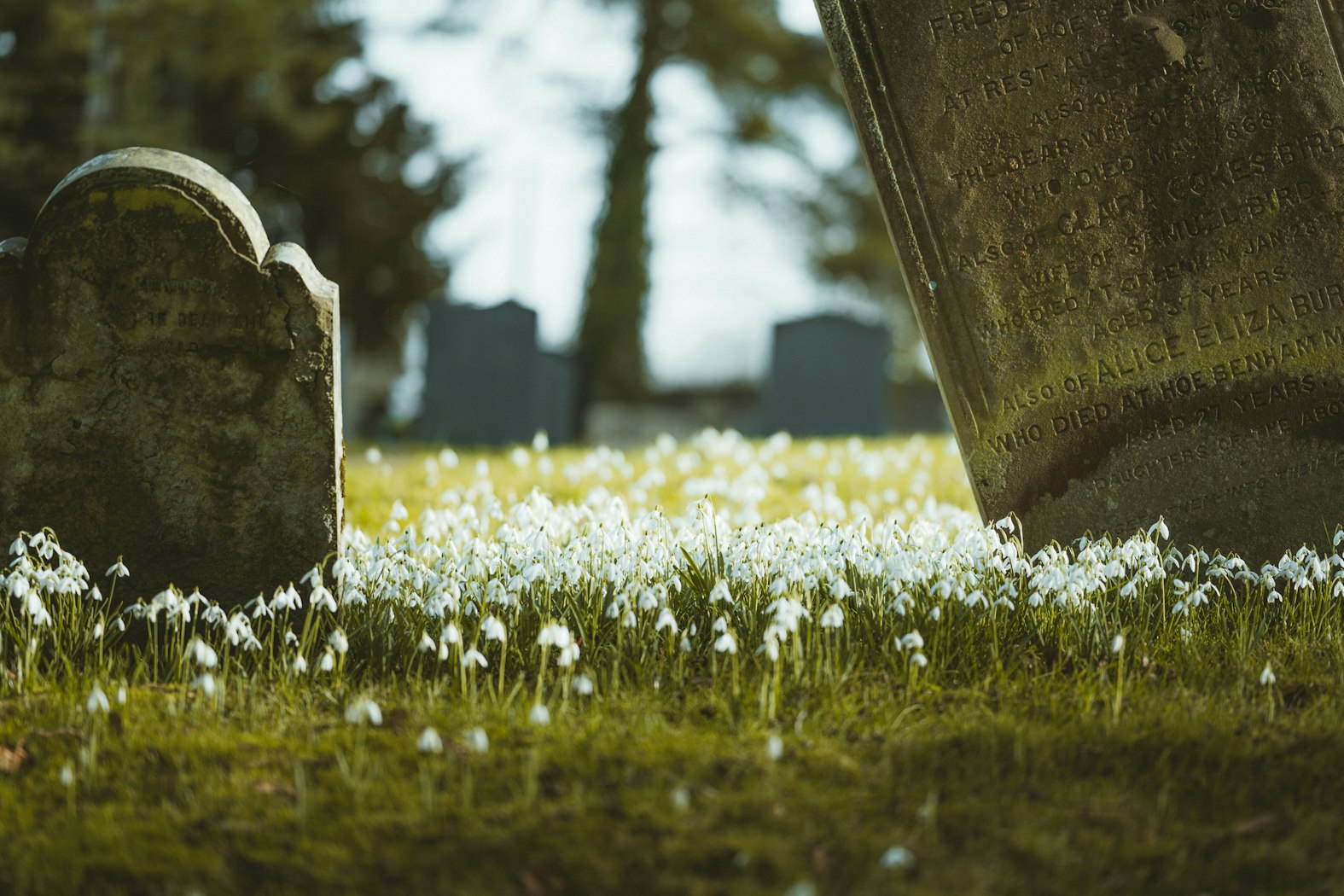 The Pity and Power of a Short Life: Reflections by the Grave of David Brainerd