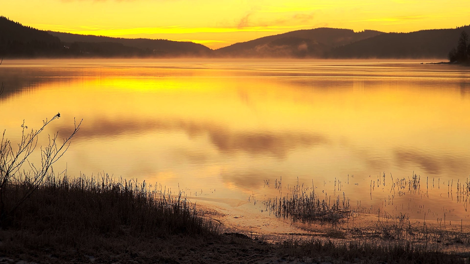 The Pursuit of Joy in Life and Ministry