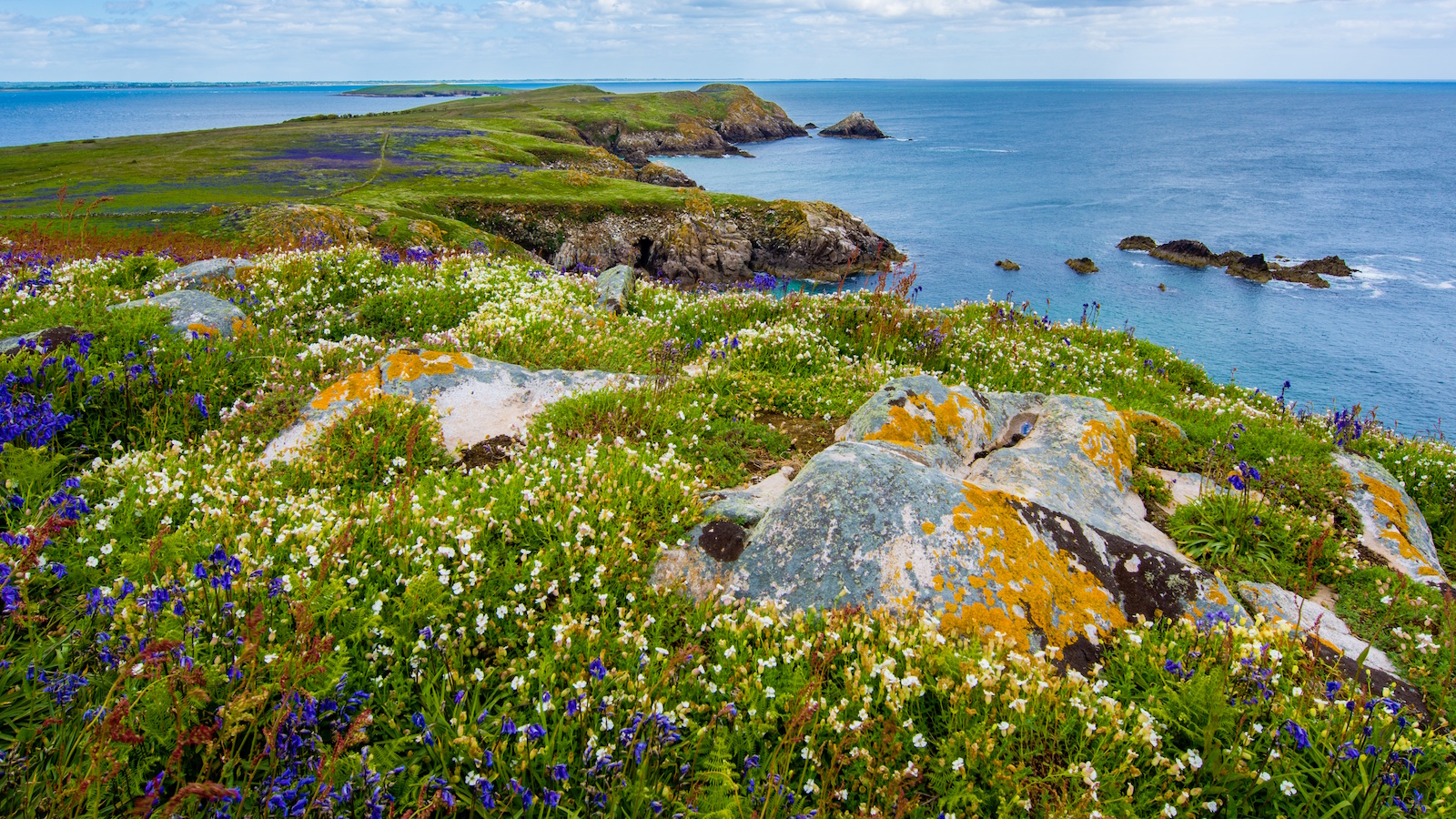 The Root of Ingratitude