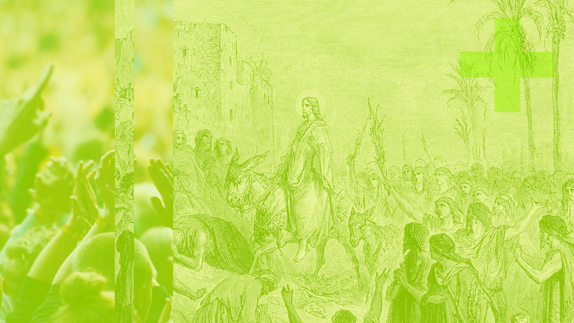 The Savior’s Tears of Sovereign Mercy | Desiring God