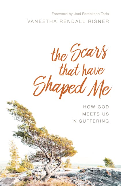 The Scars That Have Shaped Me book