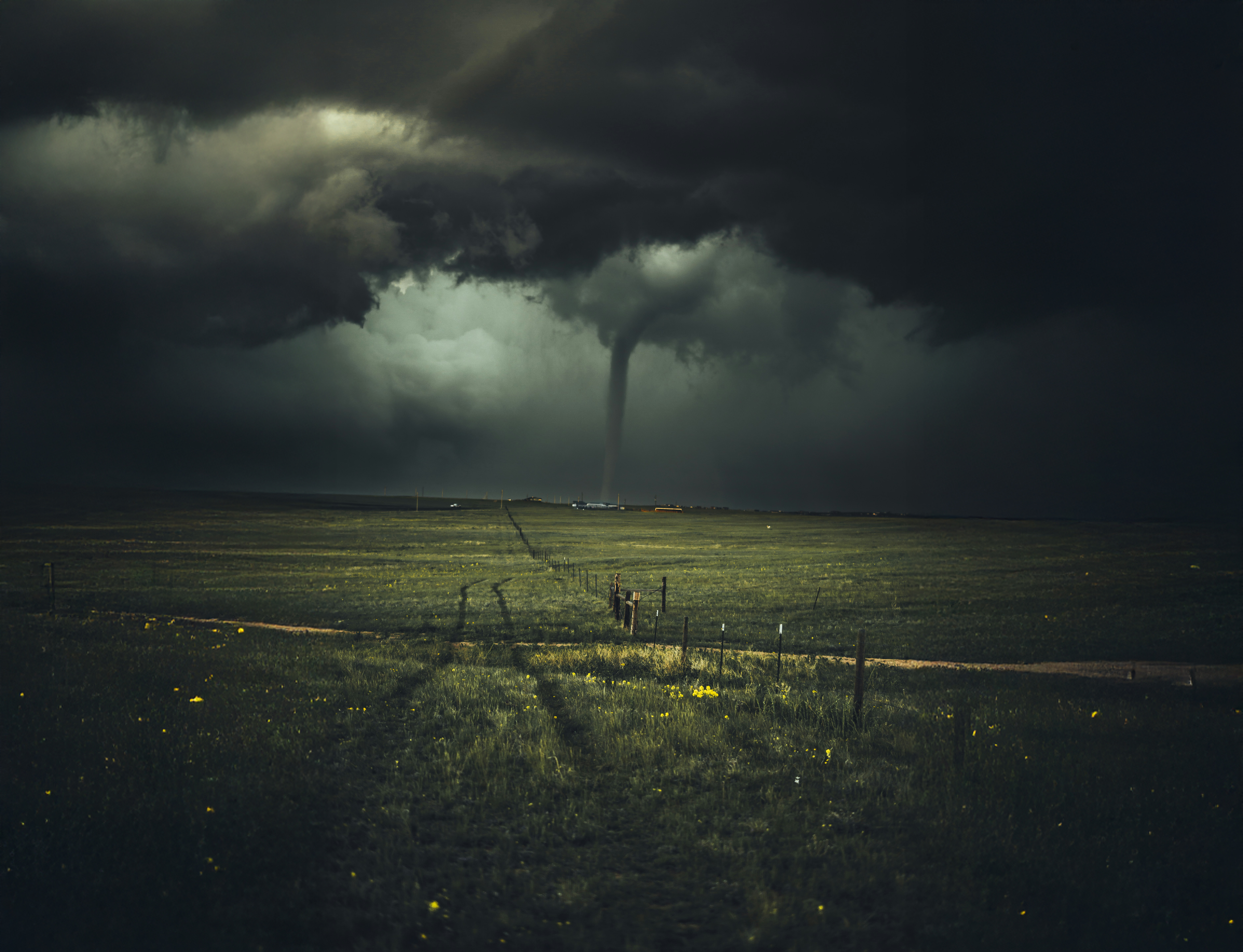 The Sky Is Falling: Noah, Chicken Little, and the Return of Christ