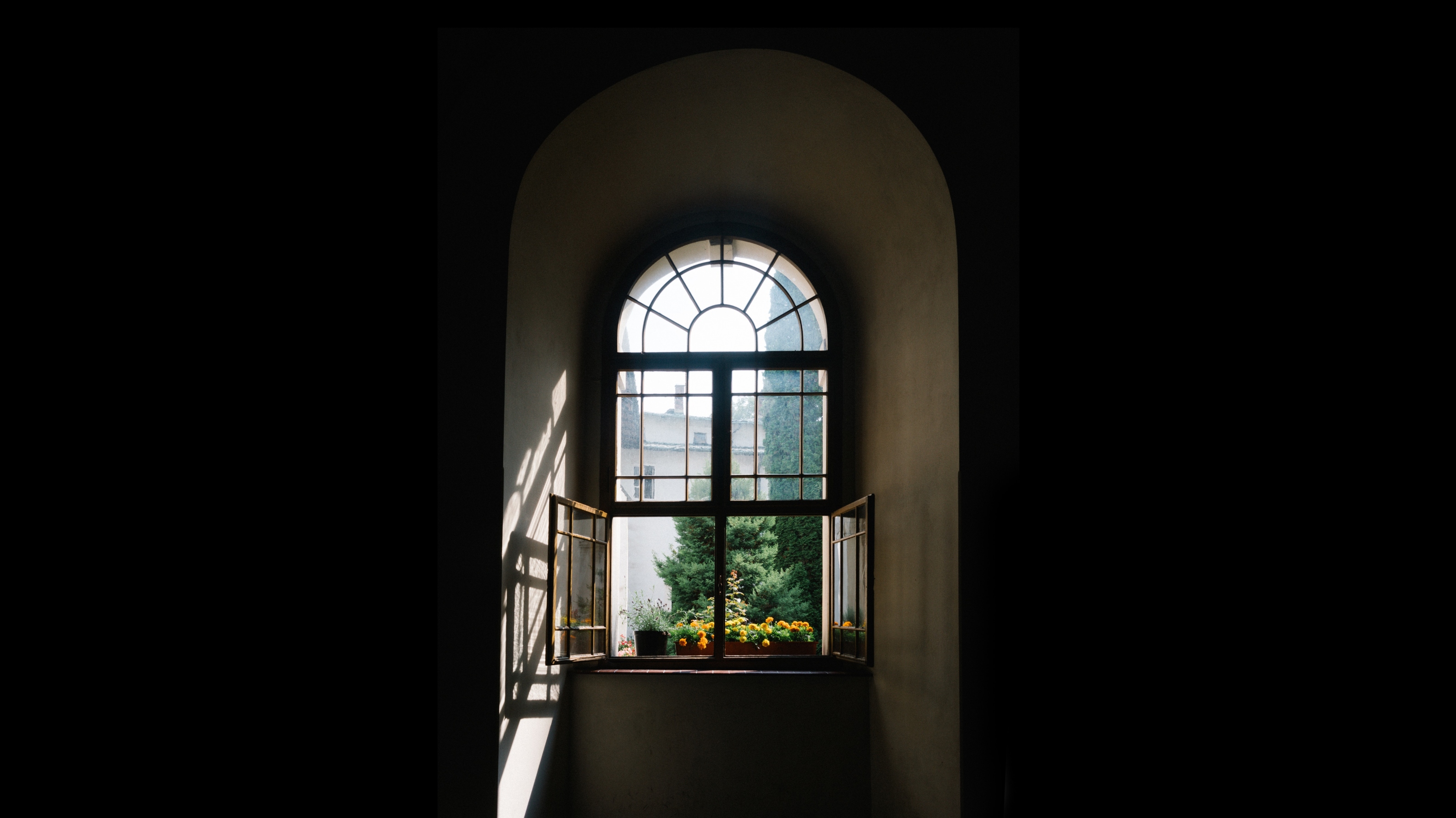 The Truth Will Set You Free