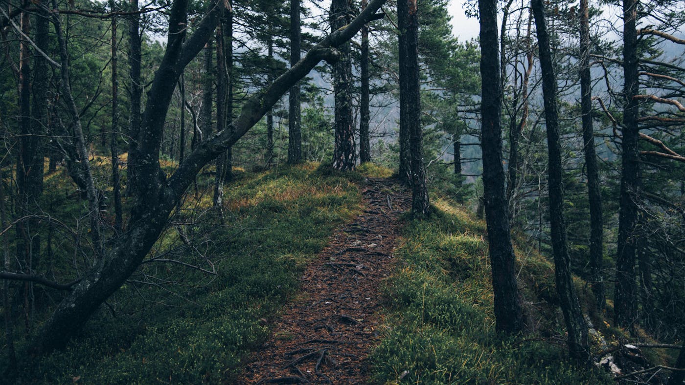 The Unexpected Answers Of God Desiring God The Unexpected Answers Of God Desiring God