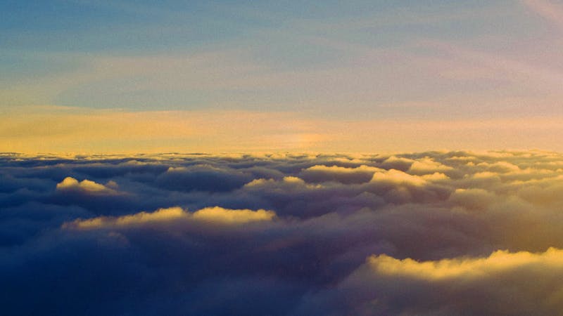 The Universe Was No Accident