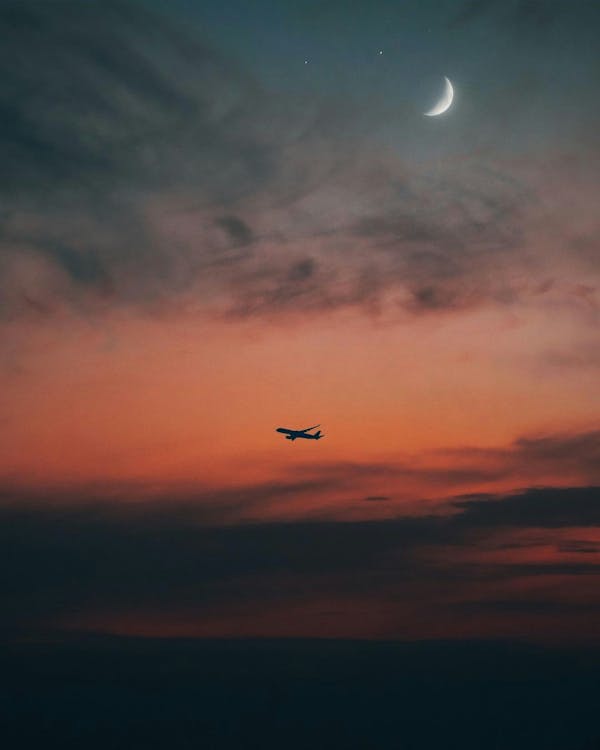 The Wartime Way to Stay