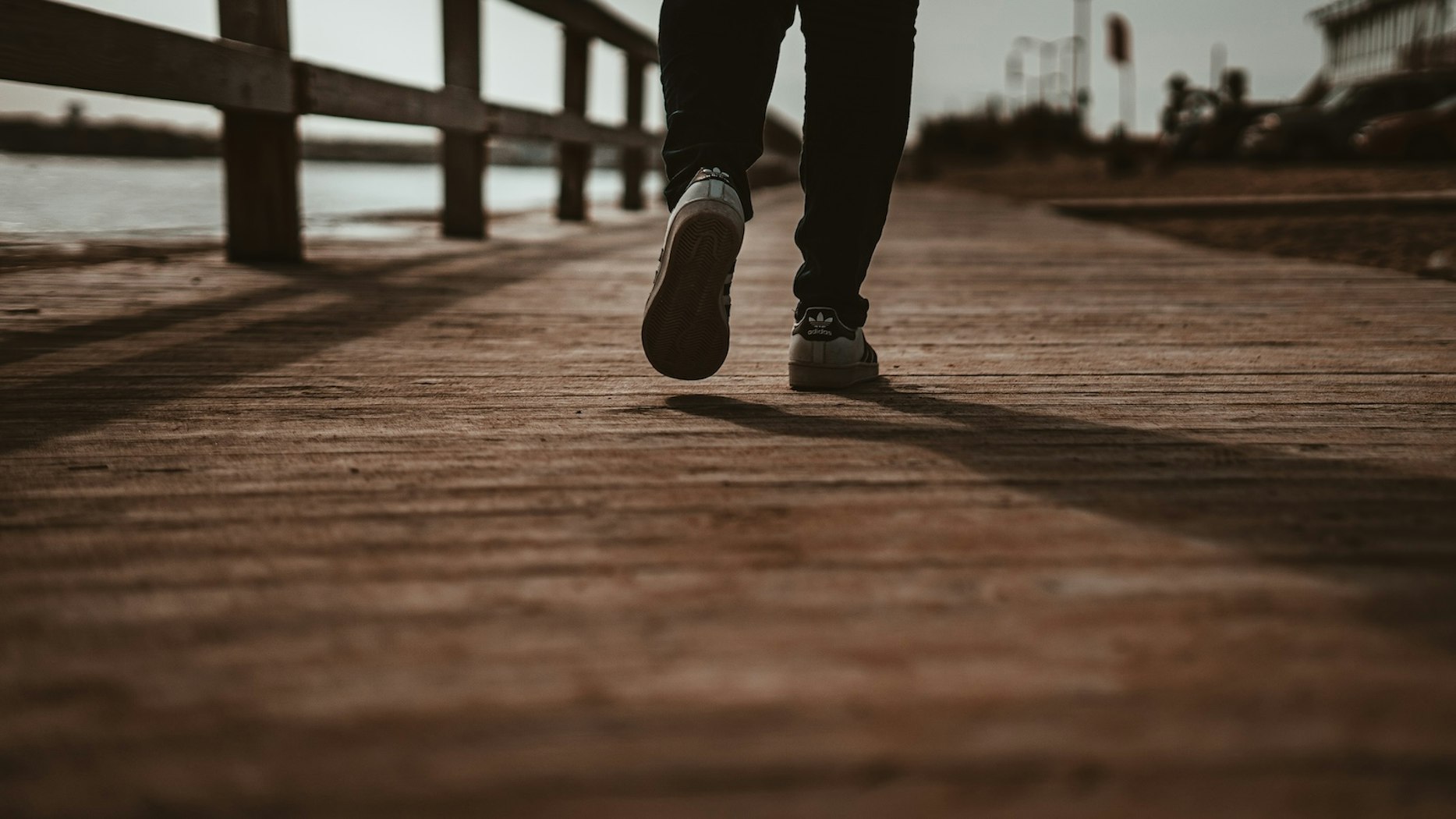 The Wholehearted Pastor: Why Men of God Pursue Purity - Vimarsana News