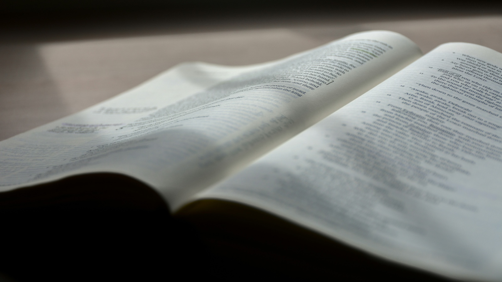 The Word Increased and Multiplied: Grasping the Complexities of Bible Translation