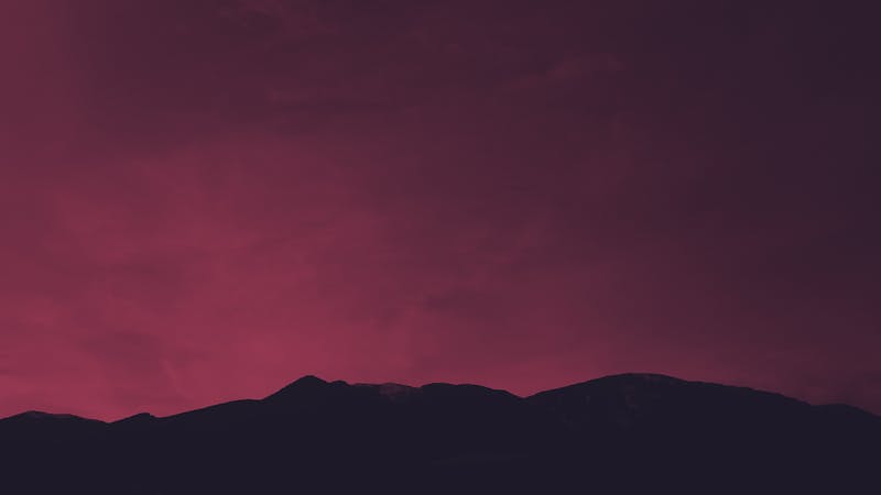 ‘They Did Not Break His Legs’