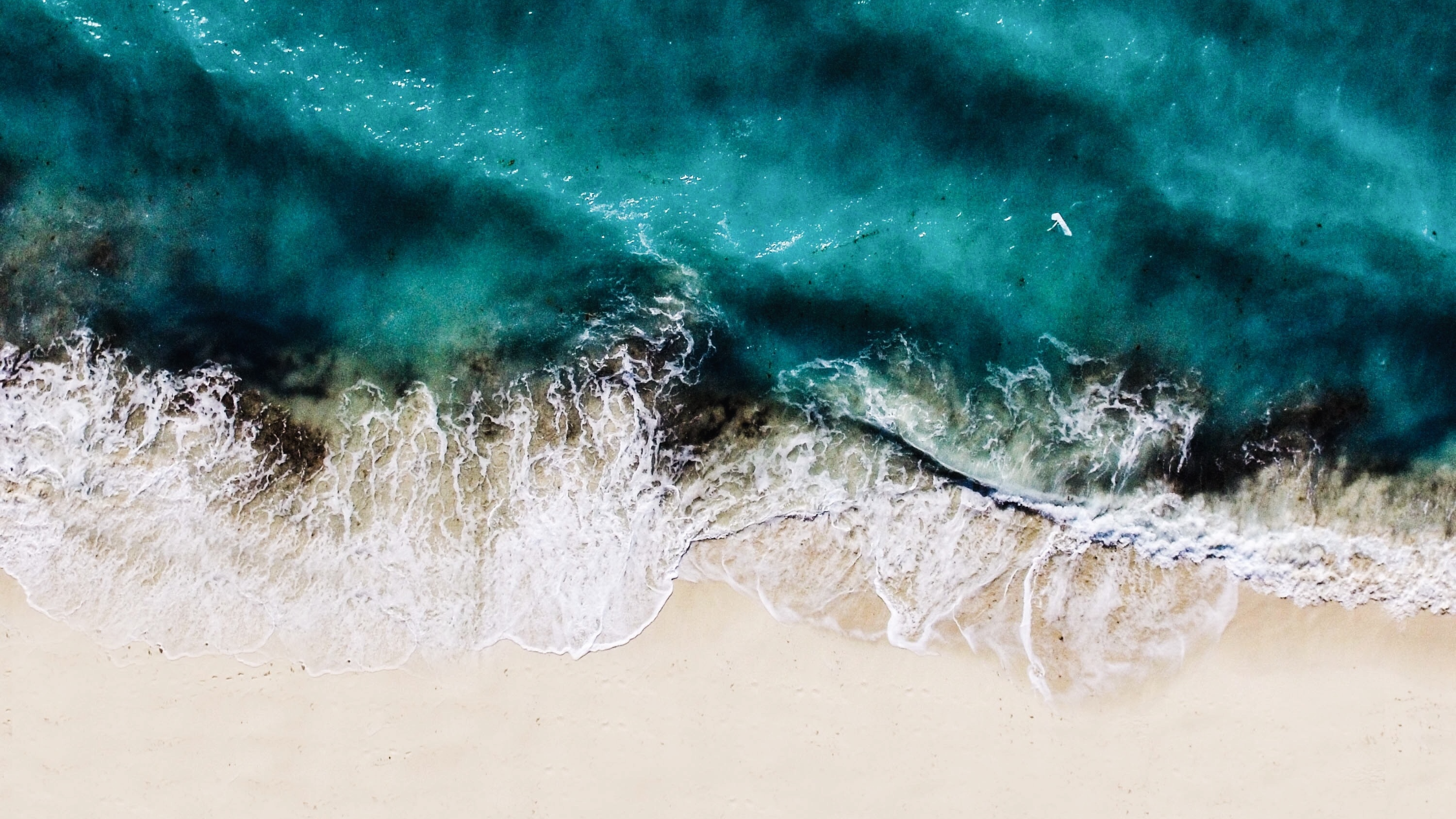 Thinking Deeply in the Ocean of Revelation: The Bible and the Life of the Mind