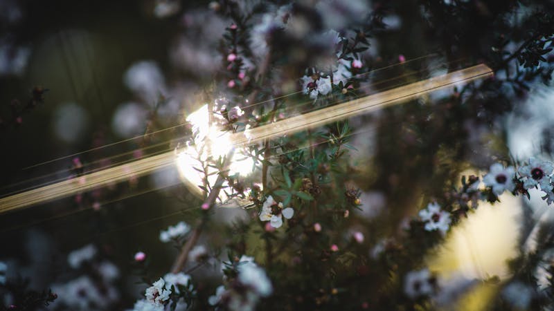 This Day and That Day