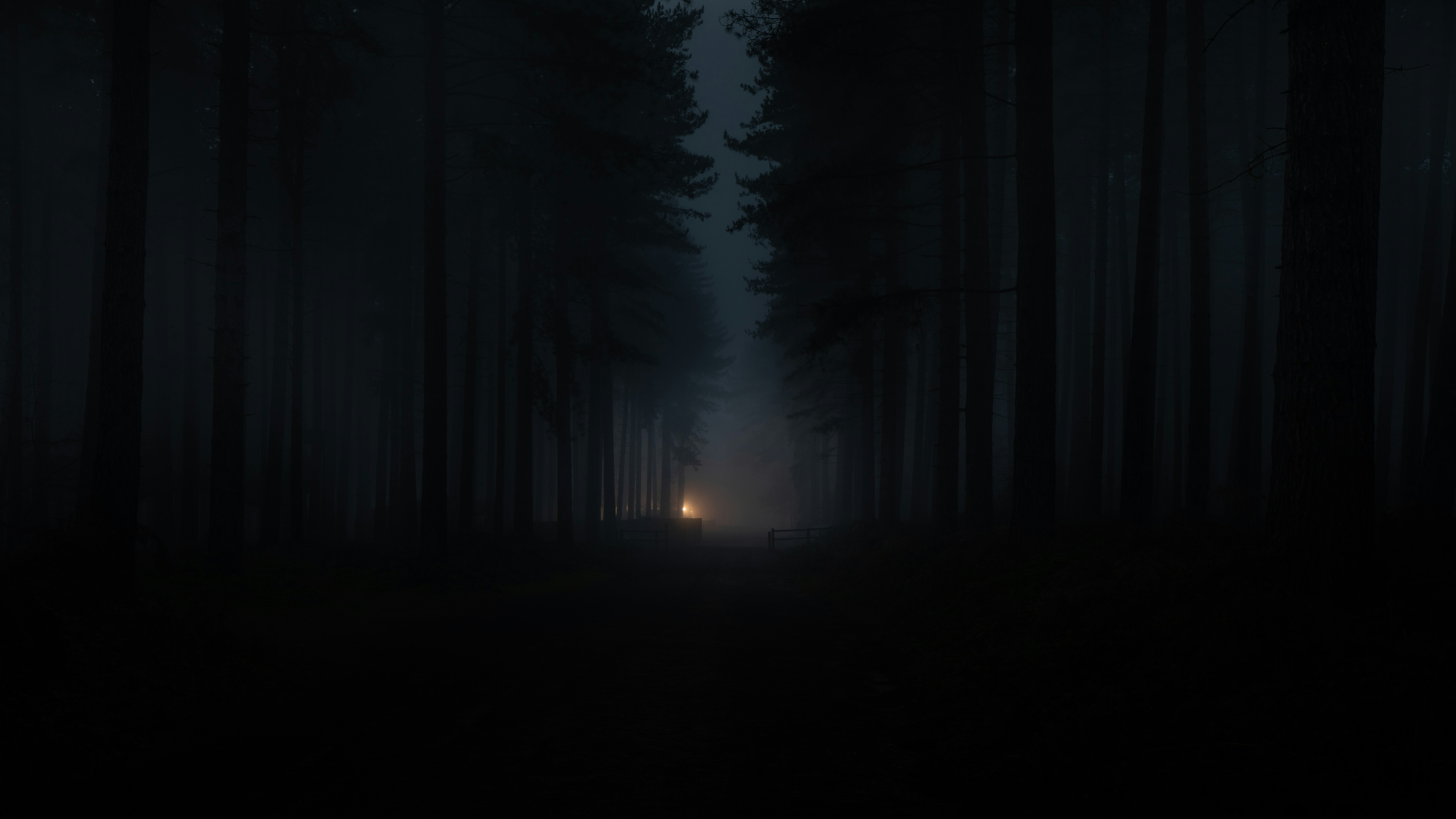 This Little Light of Mine