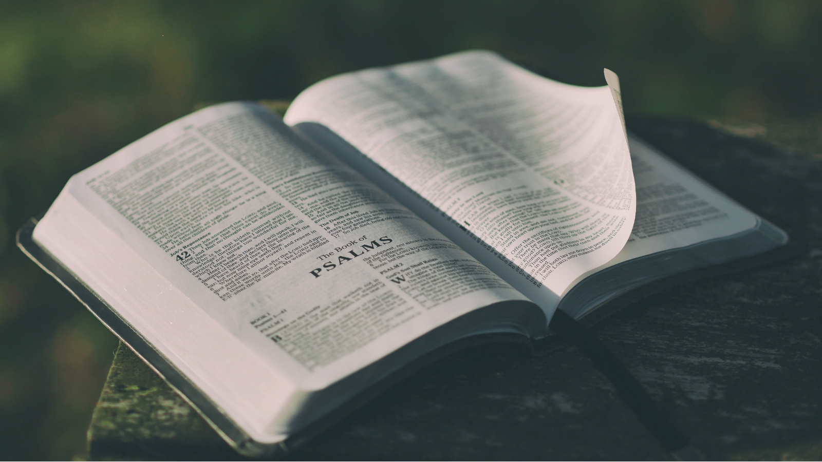 God’s Will Fails Without God’s Word