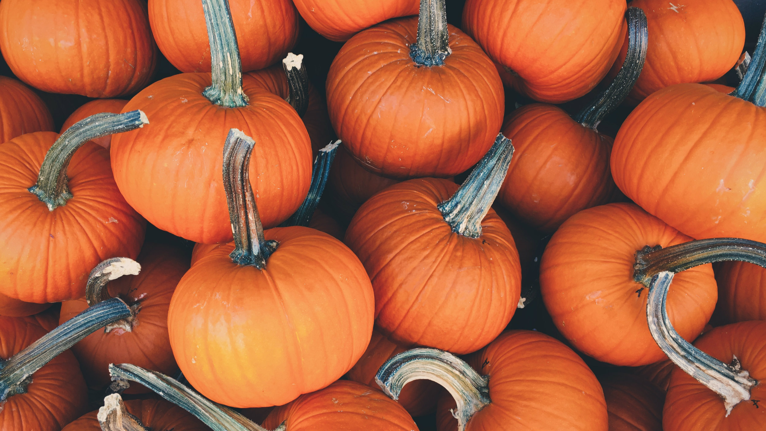 Trick or Treat?