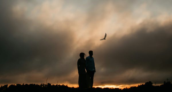 (Un)trustworthy Wounds from Wives