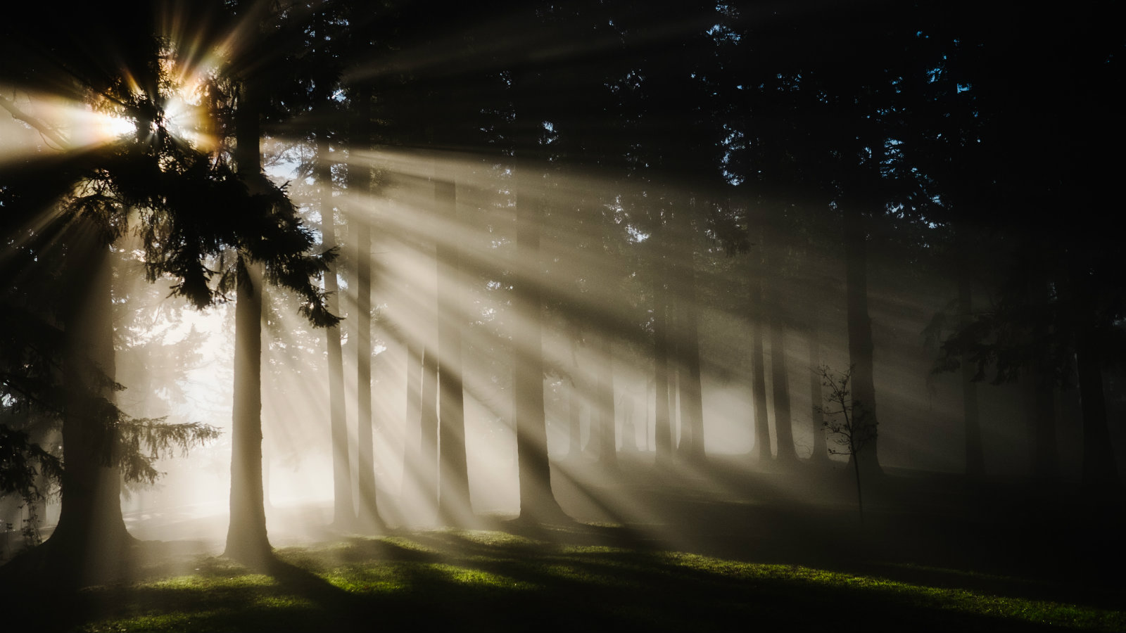 Unmistakable: How We Know the Bible Is True