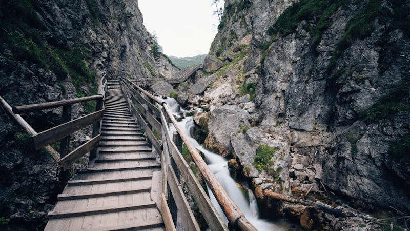 We All Need Help We All Need Help