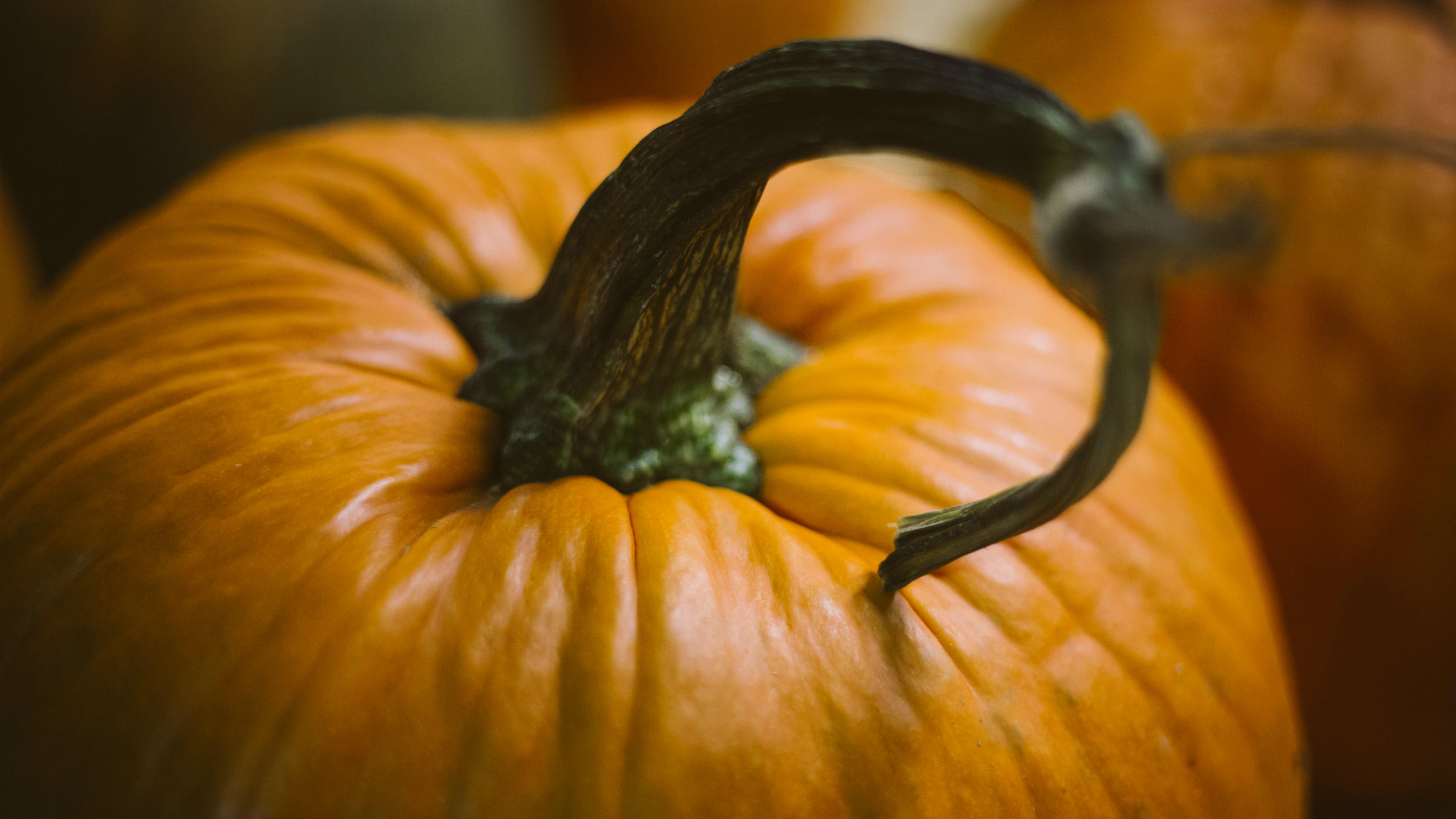 What Are Your Thoughts on Halloween?