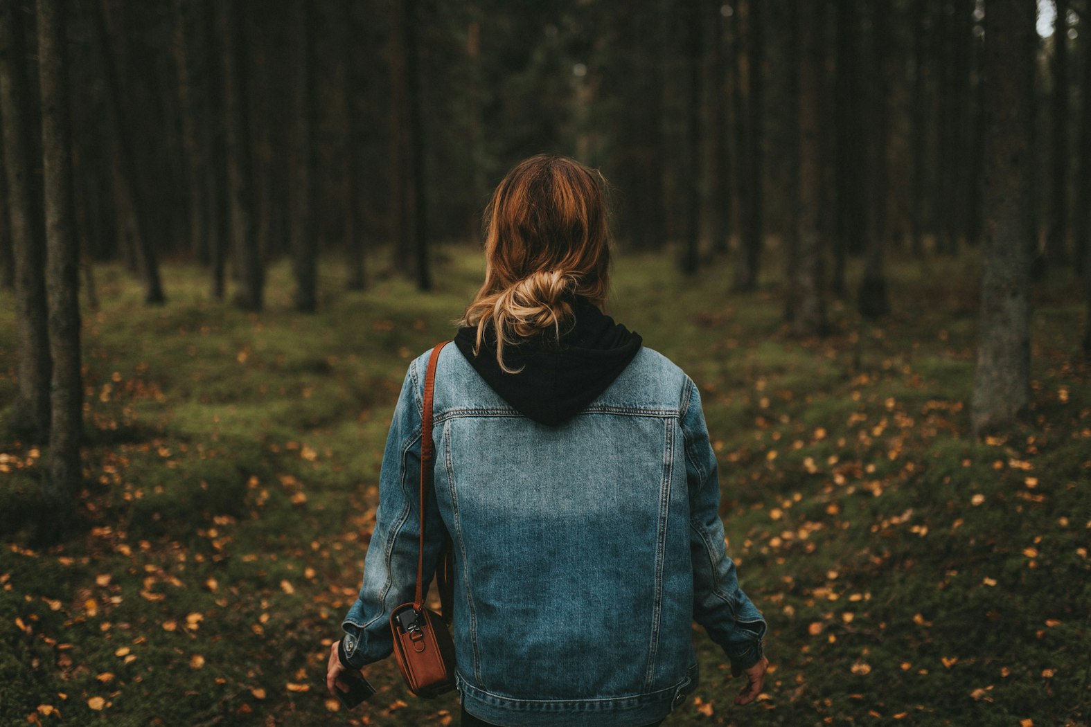 What Cravings Will Take from You: How Jesus Fulfills the Longing Heart ...