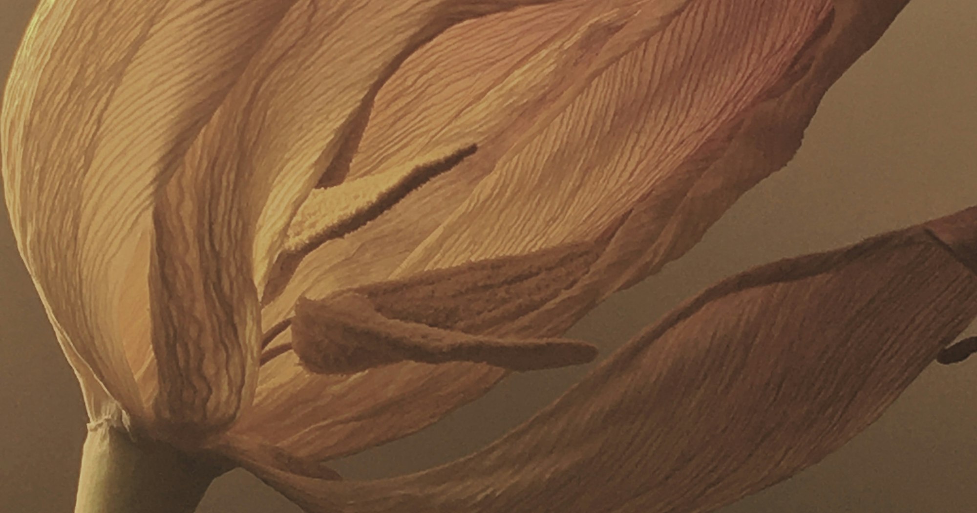 What Does Ongoing Sin Say About Me? | Desiring God