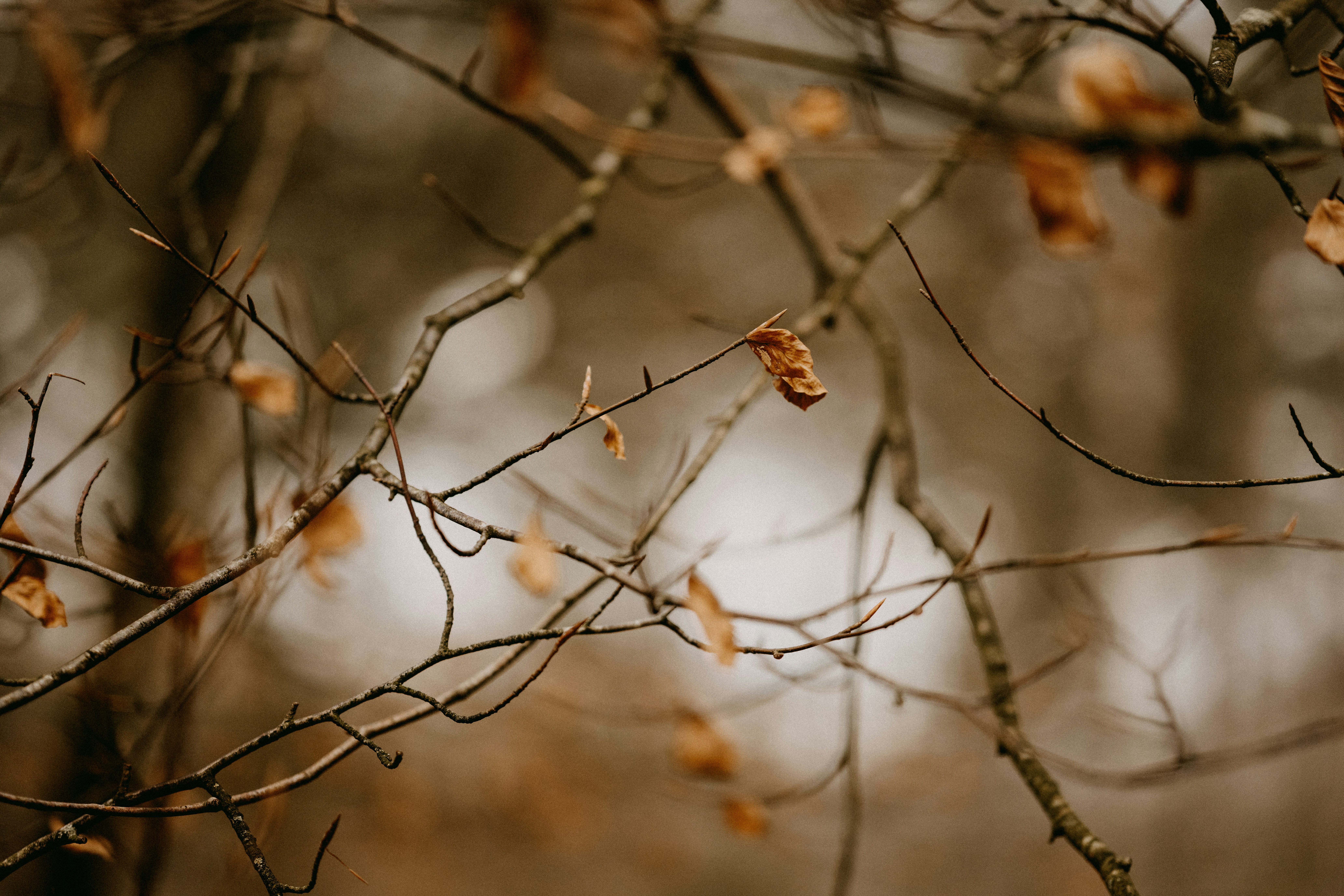 What False Teachings Should Make Me Leave a Church?