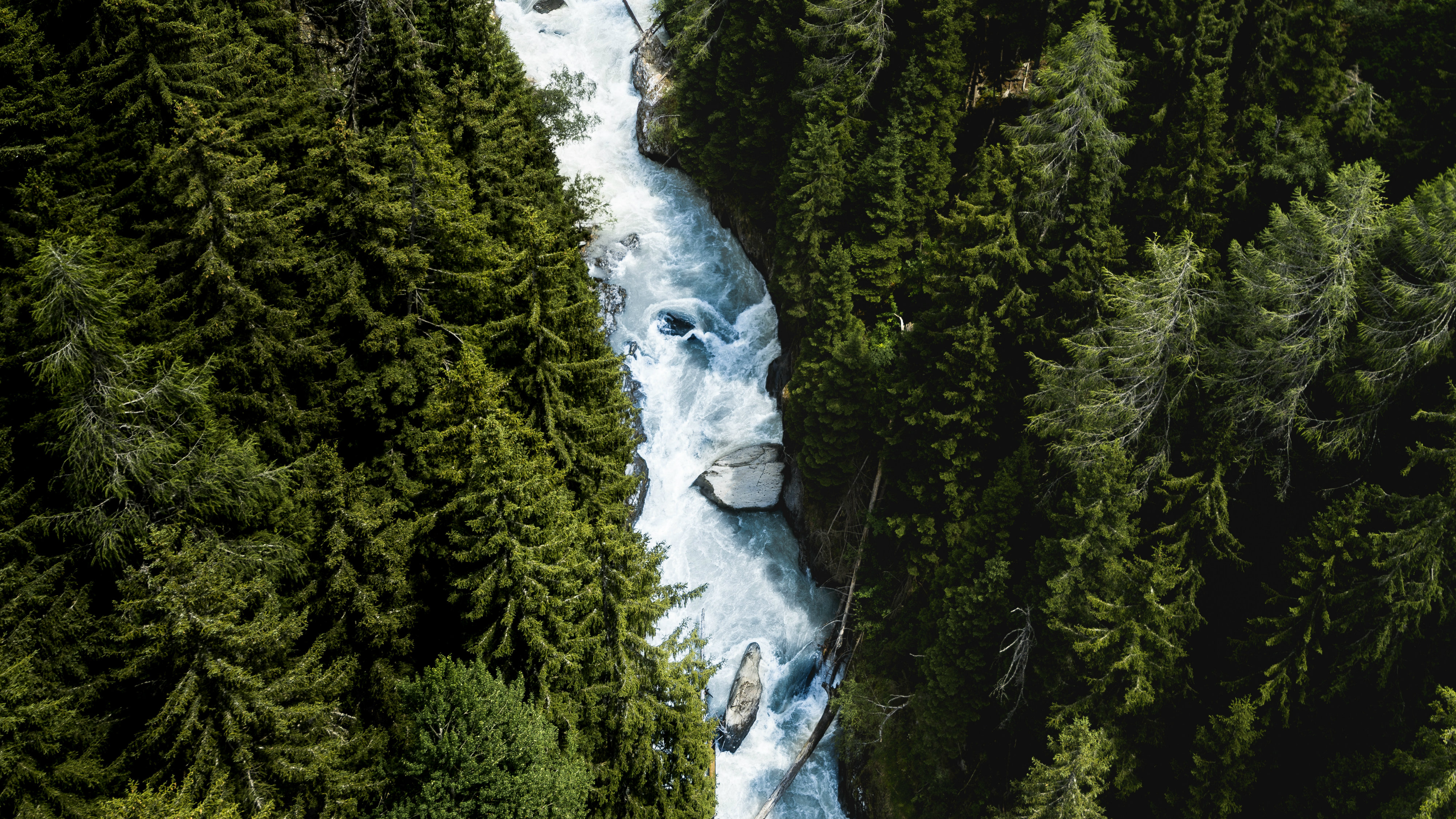 What Happens in the New Birth? Part 2