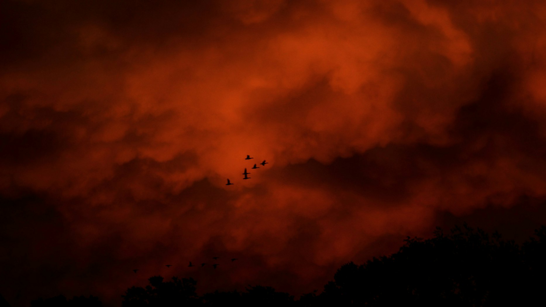 What If Evil Does Befall Me? | Desiring God