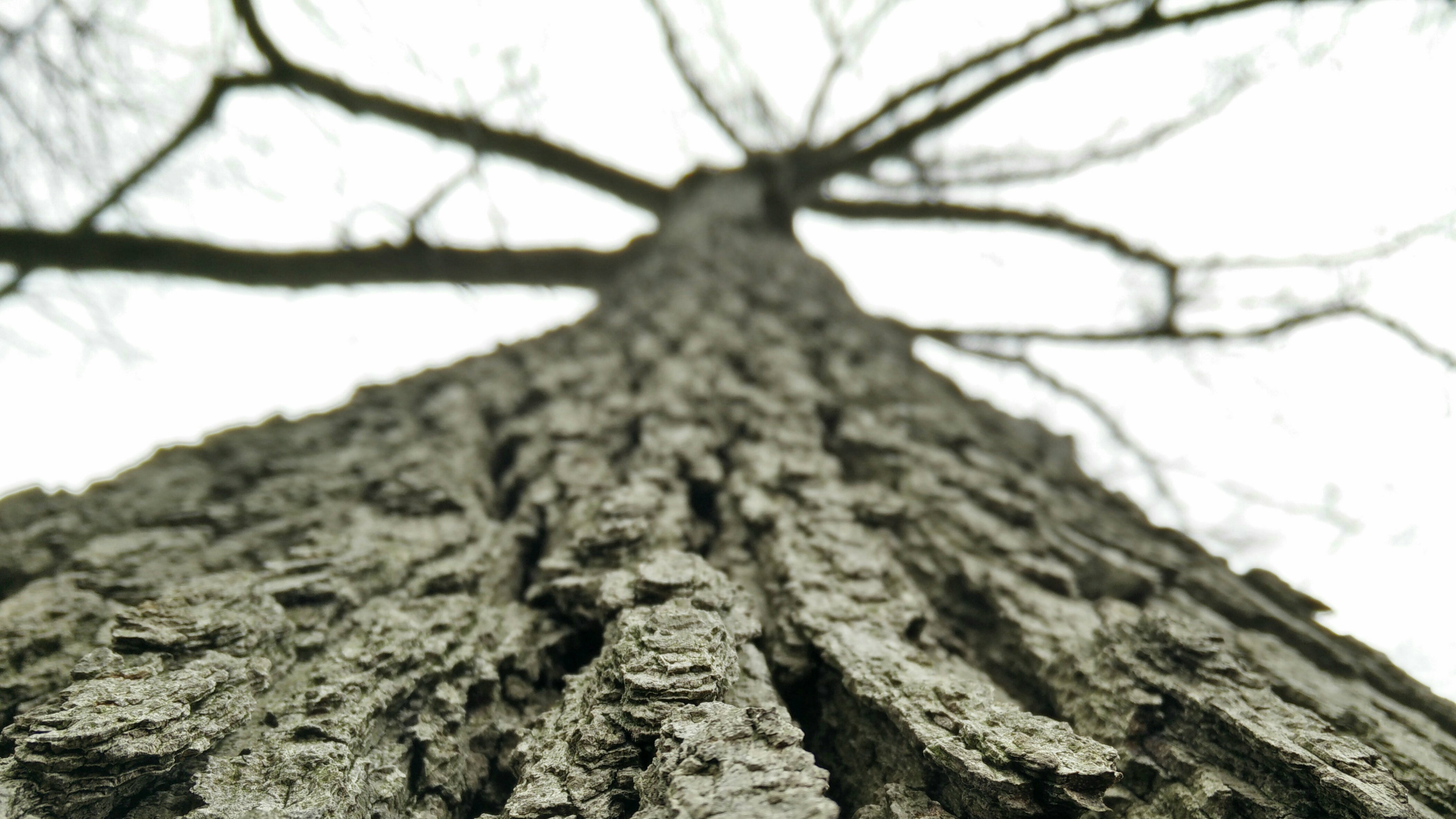 What Is the Deepest Root of Your Joy? (Christian Hedonism in Two Minutes)