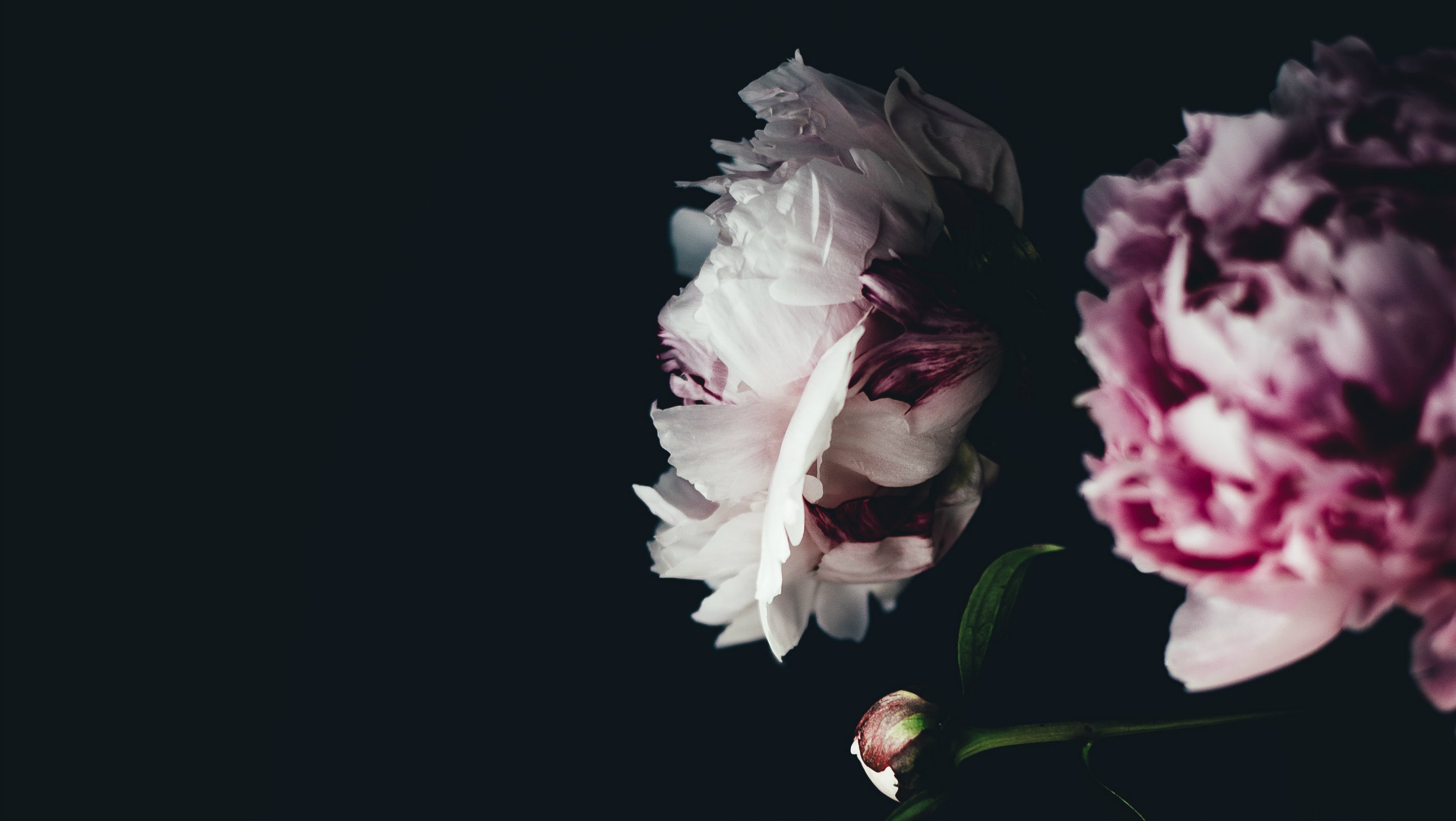 When Did God Become for Us?