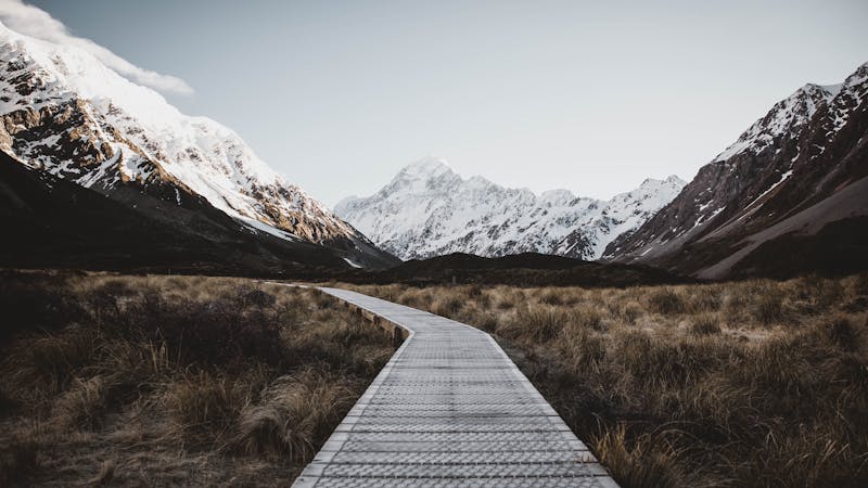 When Good Dreams Don’t Come True