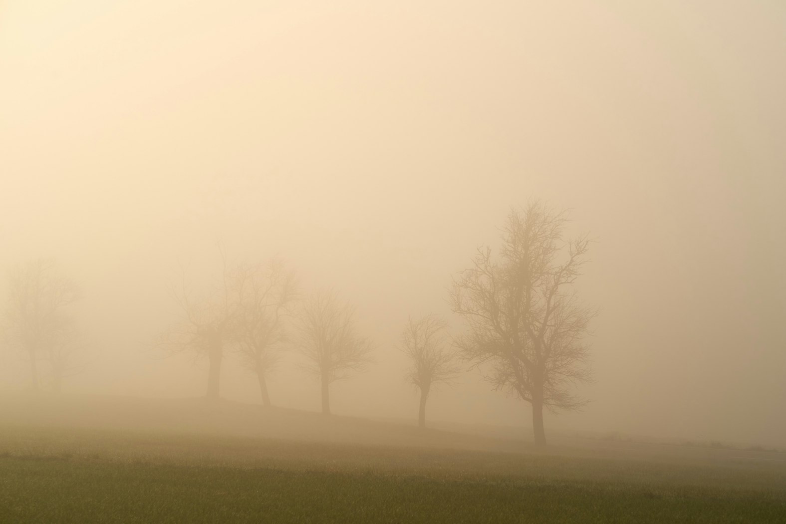 When Suffering Doesn’t Make Sense | Desiring God