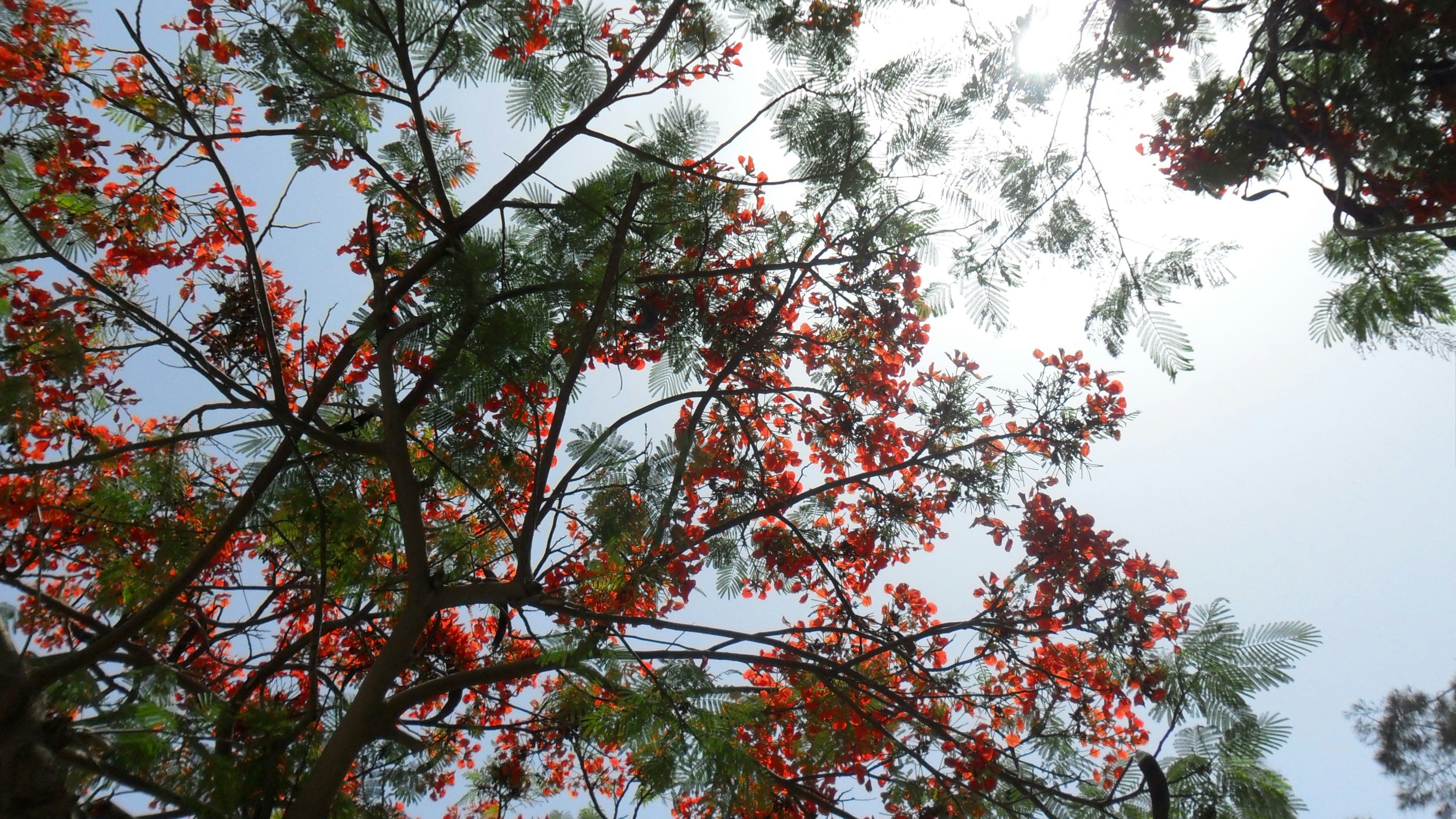 When Troubles Come, Meditate on the Trinity