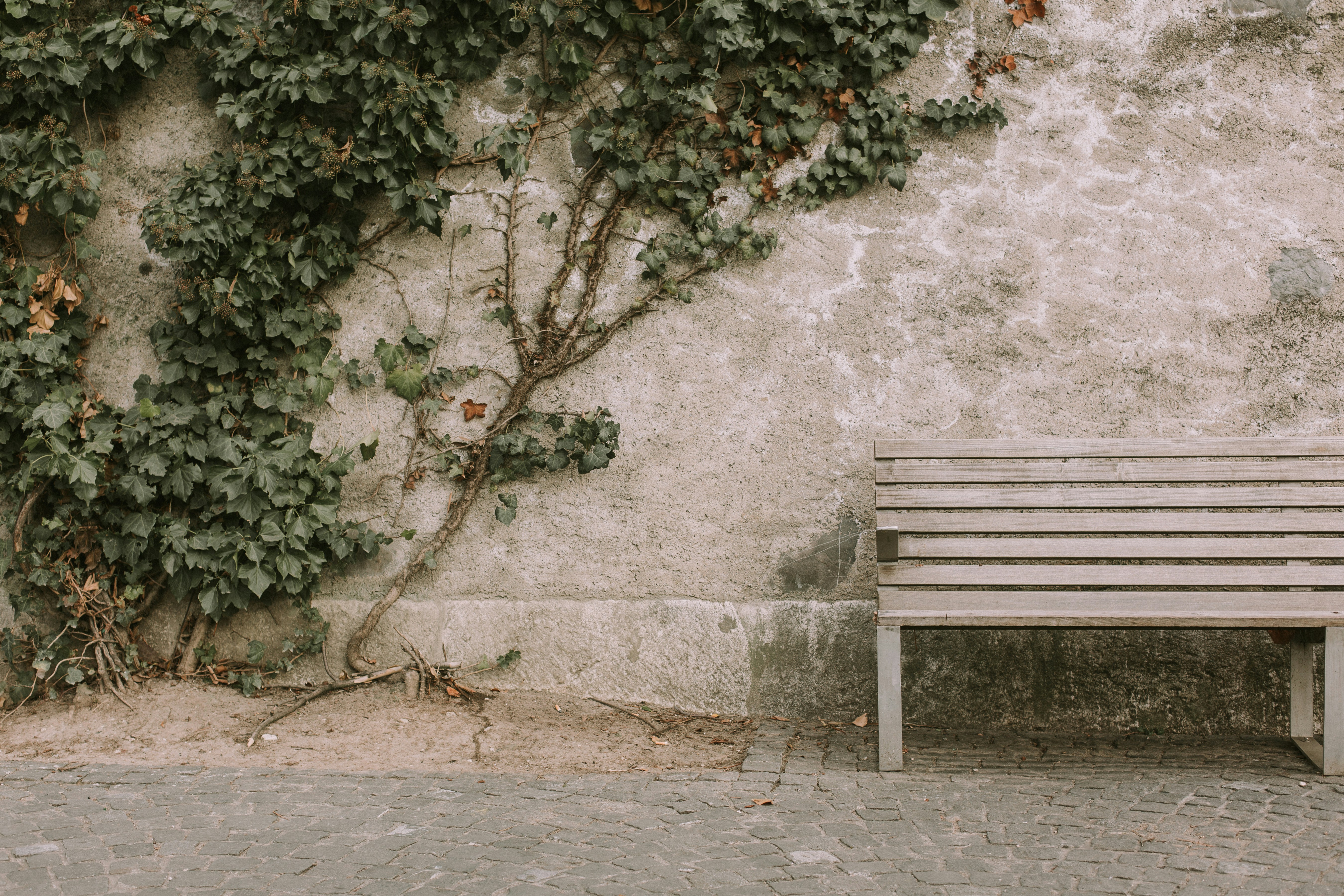 When Your Pastor Feels Distant