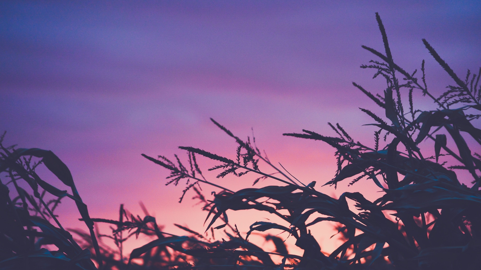 Who Will Give My Head Waters? Seven Reasons to Pray for Holy Tears