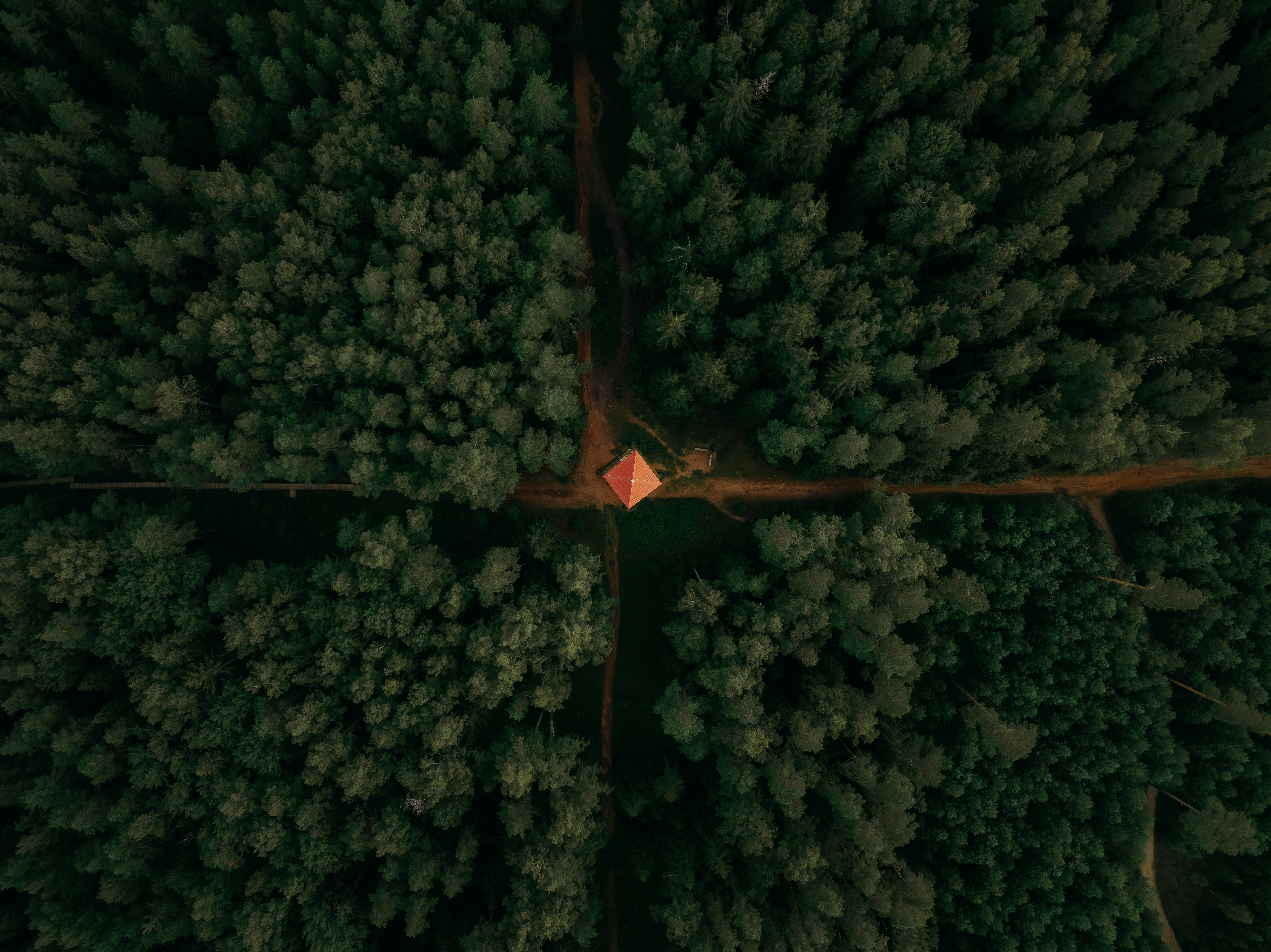 Why Do You Focus on God’s Role in Our Suffering?