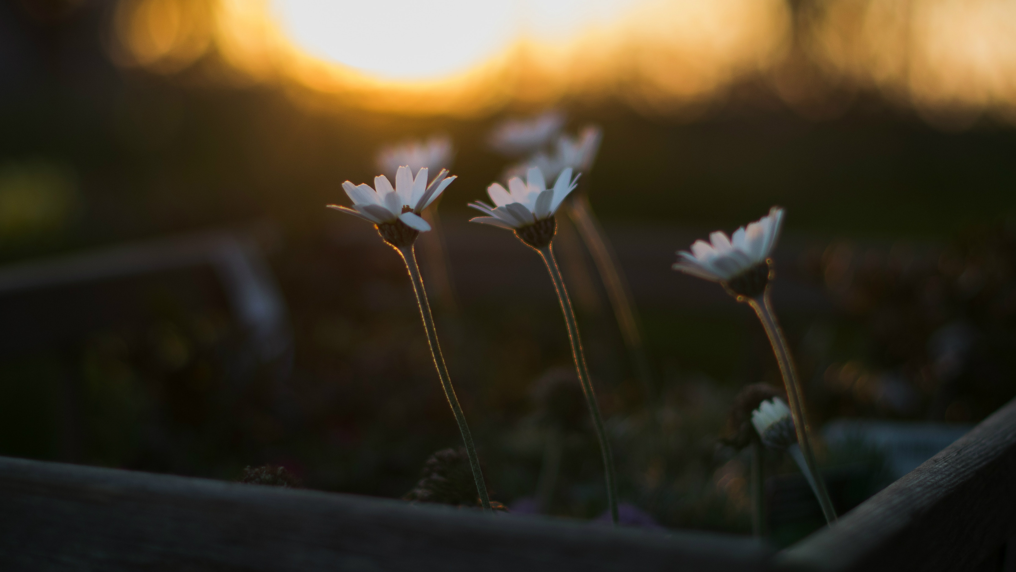 Why God Sanctifies Us Slowly