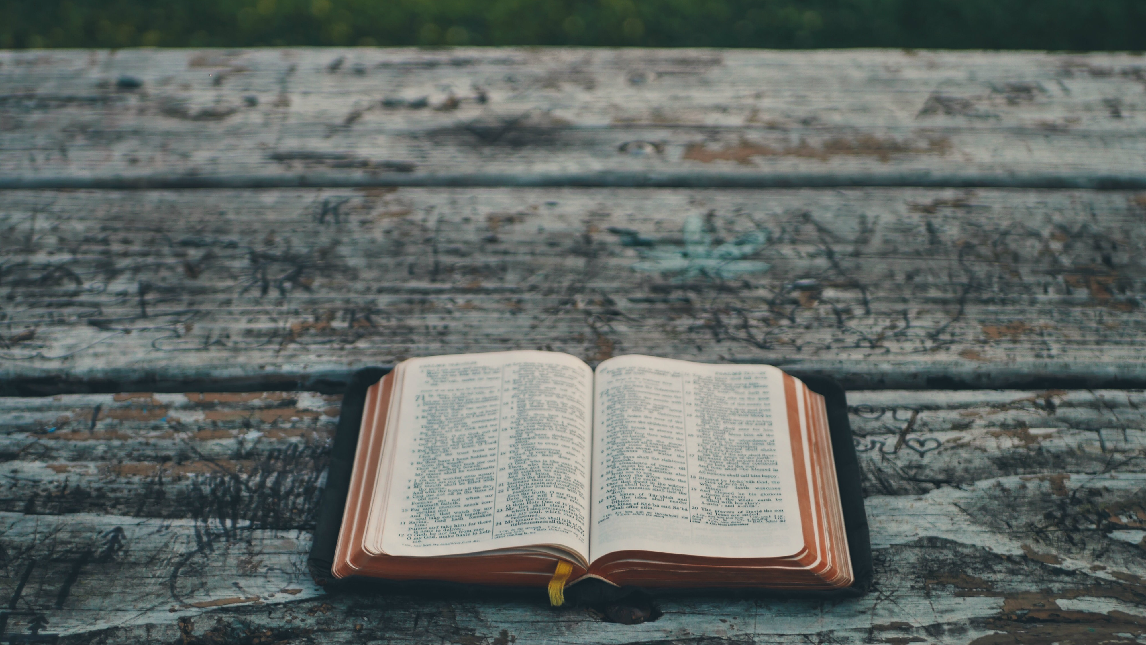 Why Read the Bible? To Know and Enjoy Jesus