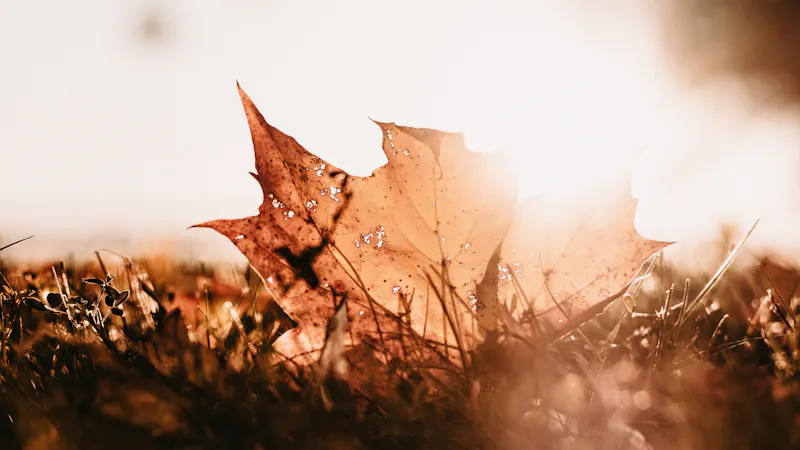 Will We Still Thank God?