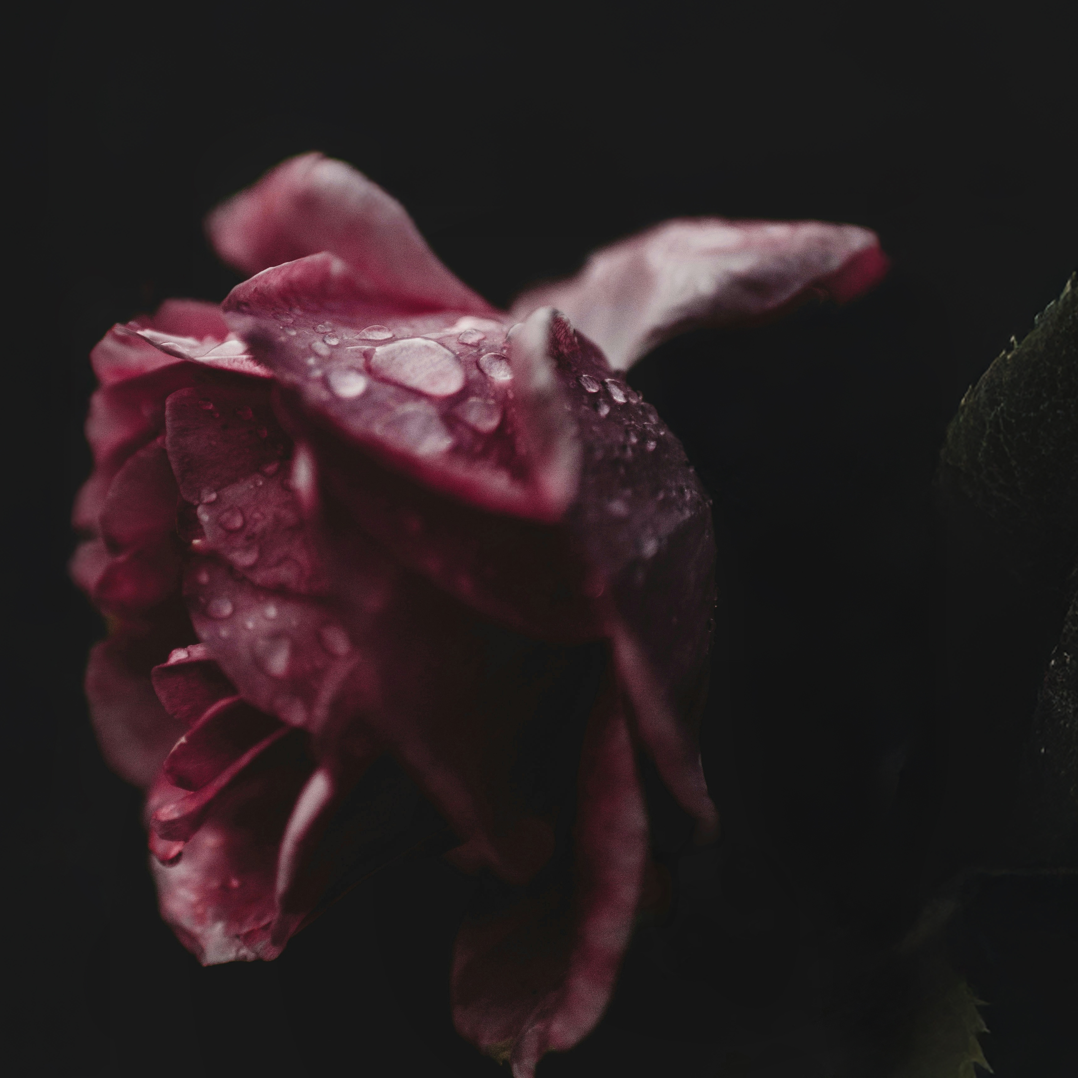 Wimpy Theology Makes Vulnerable Women