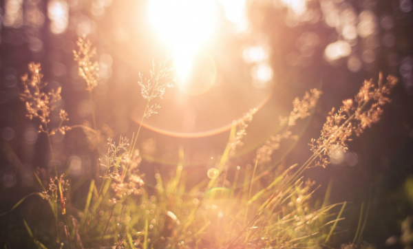 Winning Battles Through Prayer