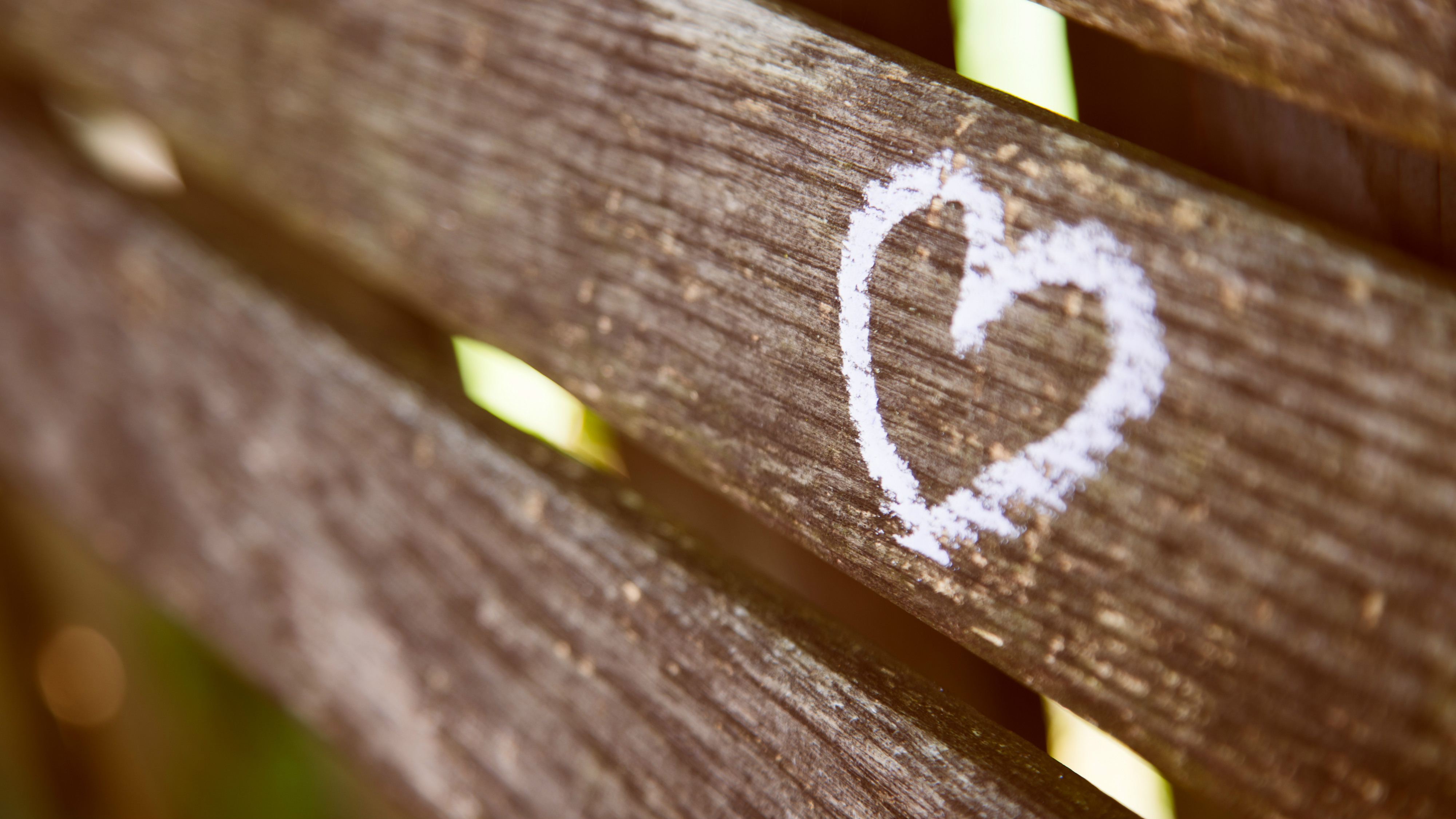 Without Love, We Are Nothing