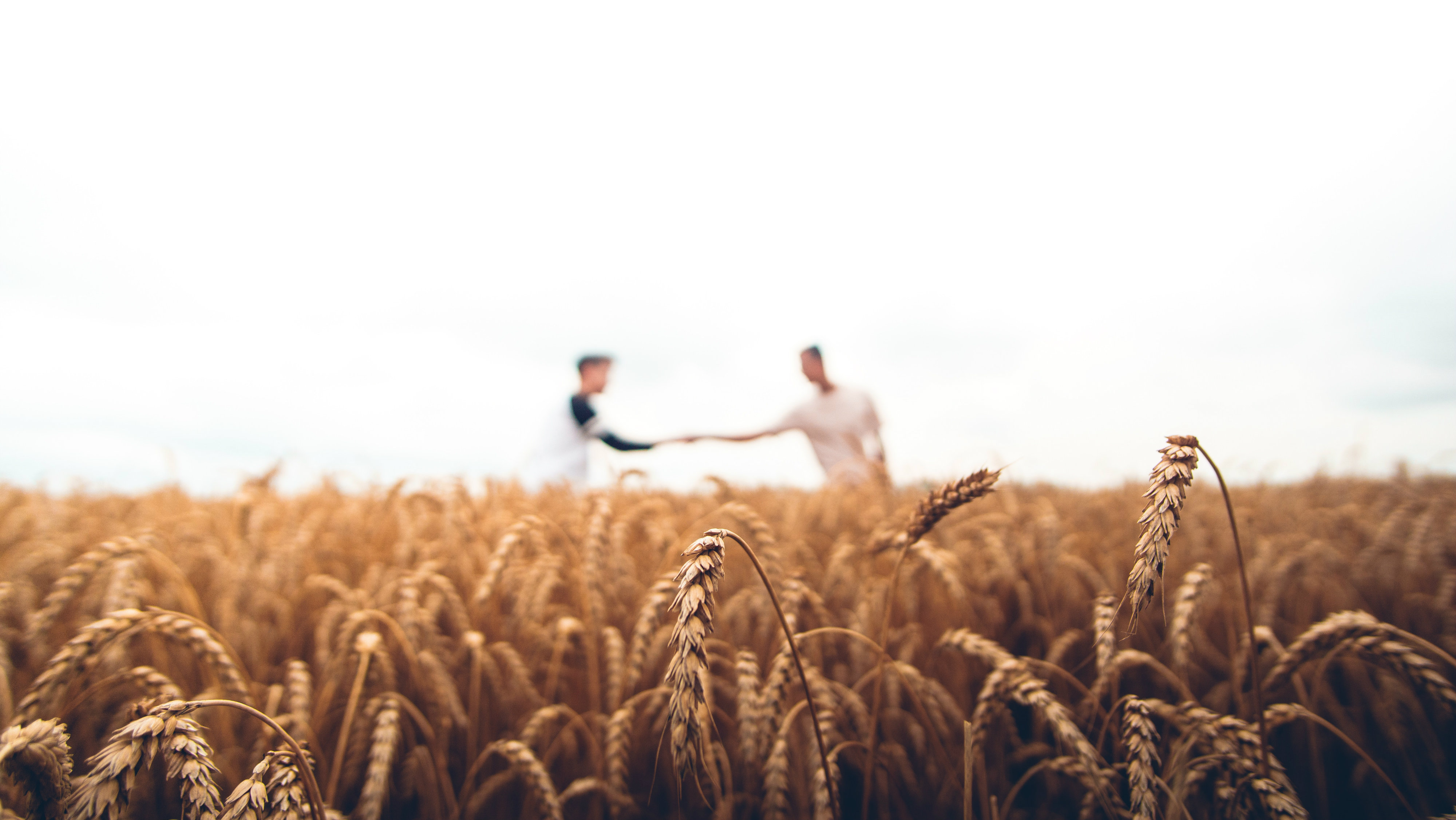World Evangelism Q&A