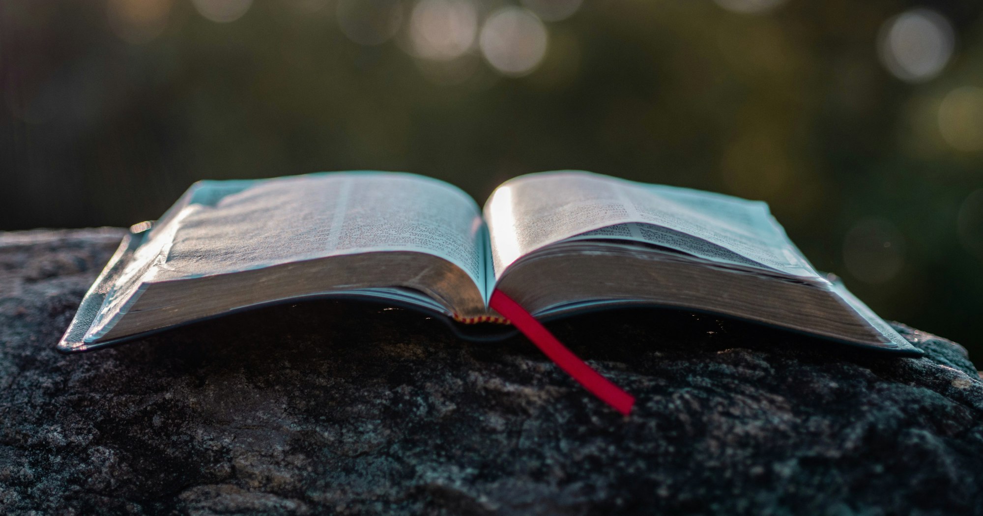 You Can Memorize Scripture This Year | Desiring God
