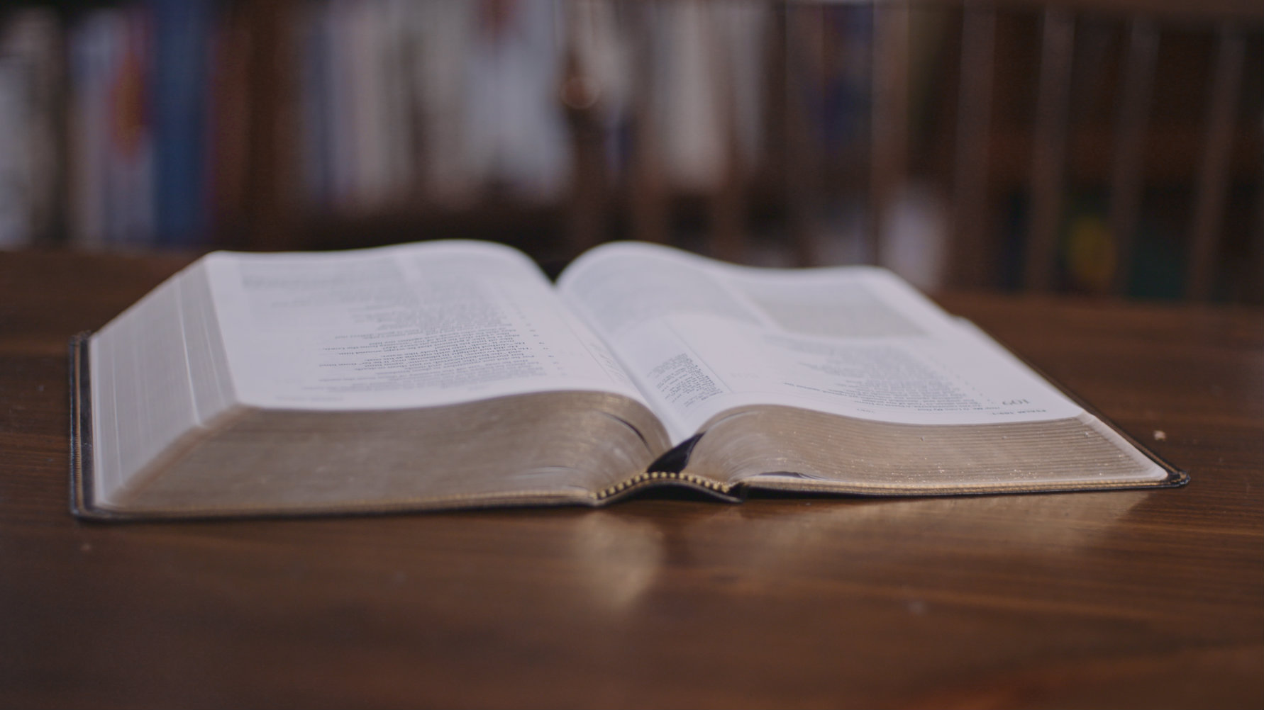 You Have Two Enemies in Bible Reading