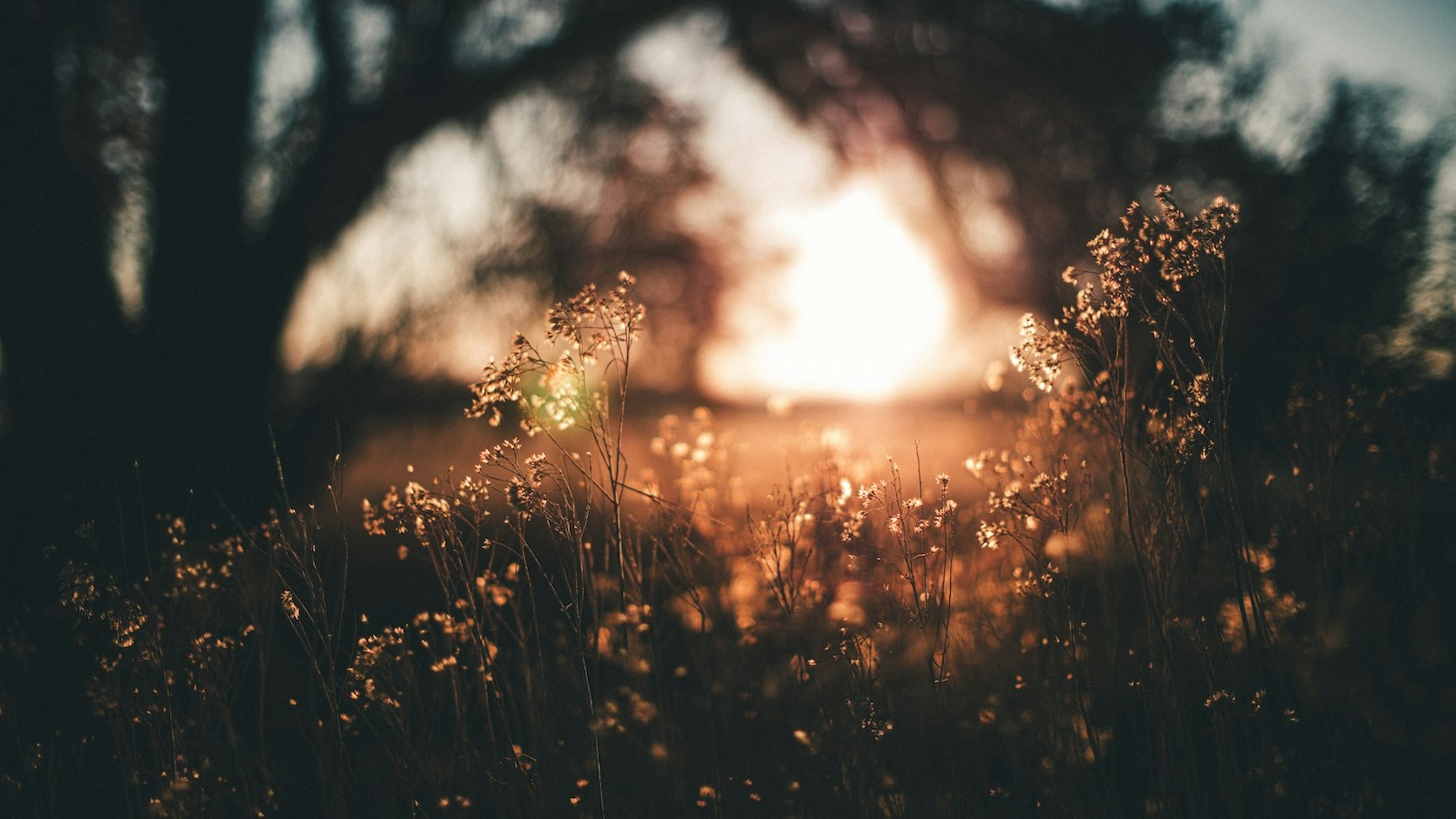You Were Made to Never End | Desiring God - Vimarsana News