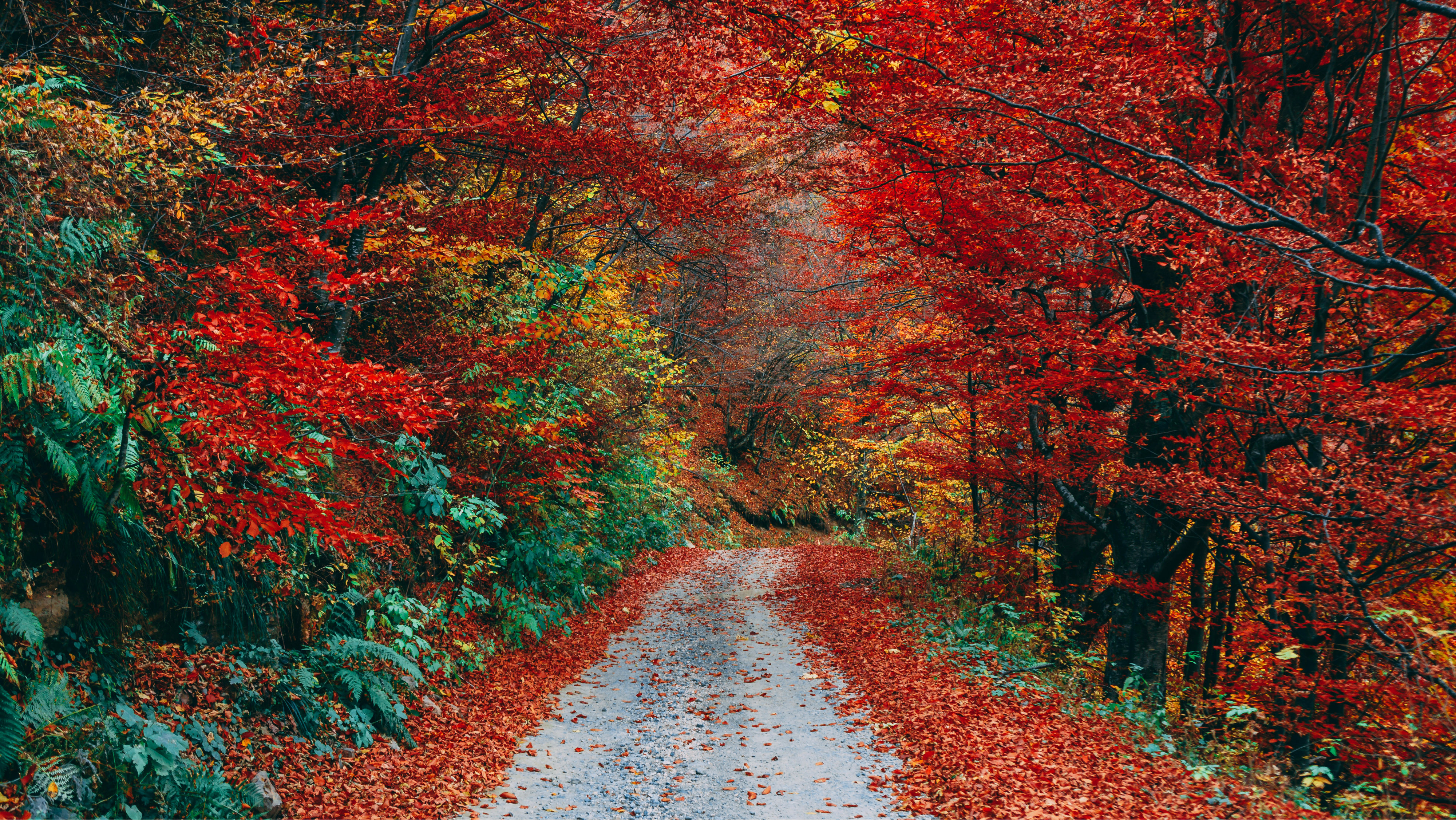 God Wants Your Delight — Not Just Your Decision