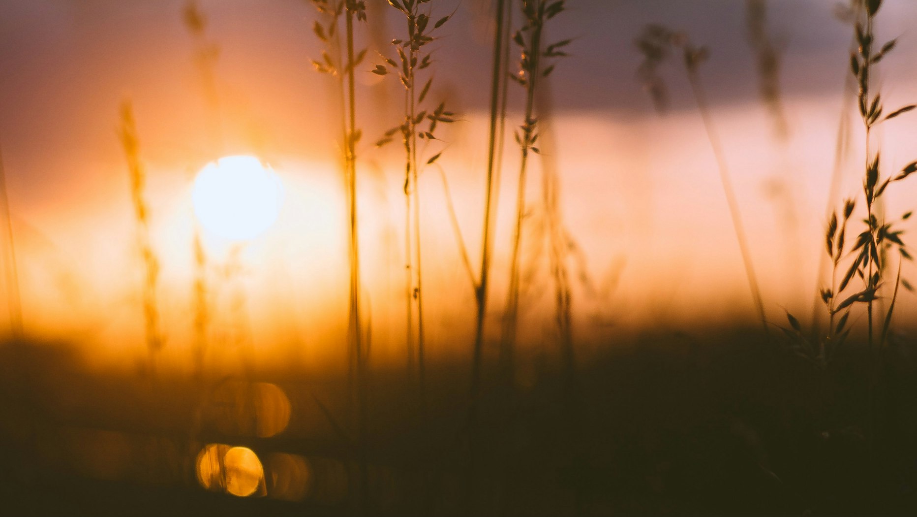 No One Will Take Your Joy From You Desiring God No One Will Take Your Joy From You Desiring God